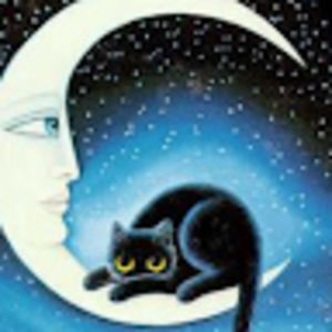 Meet your Posher, Kam